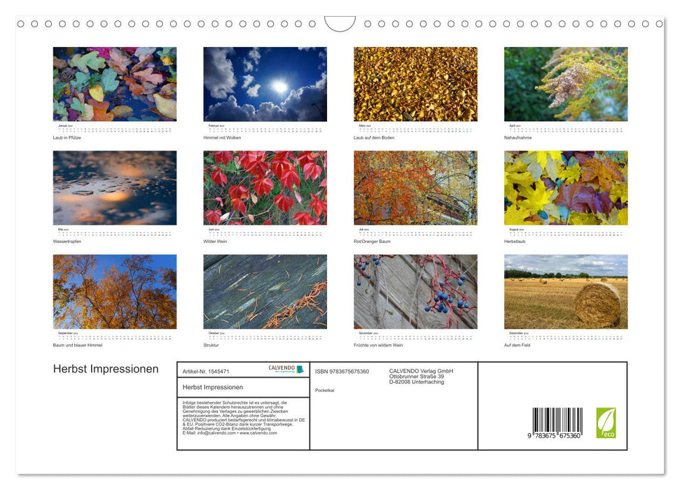 Herbst Impressionen (CALVENDO Wandkalender 2024)