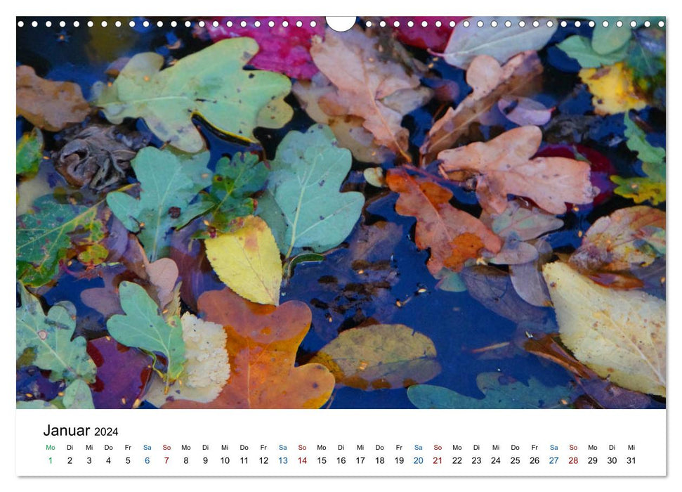 Herbst Impressionen (CALVENDO Wandkalender 2024)