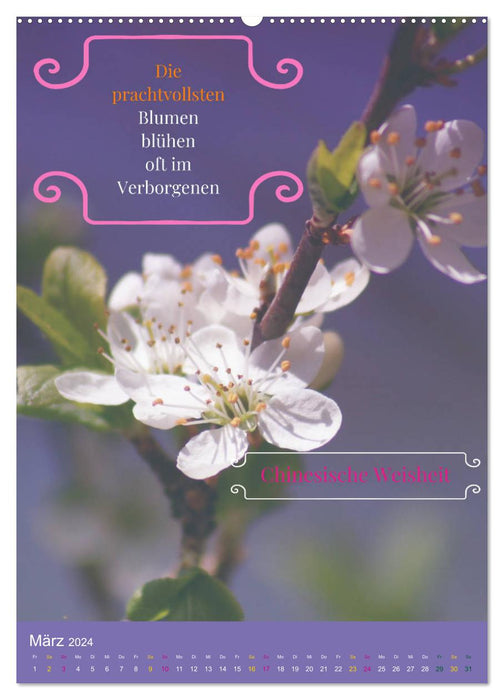 Frühlingsgedanken verschiedene Weisheiten (CALVENDO Premium Wandkalender 2024)