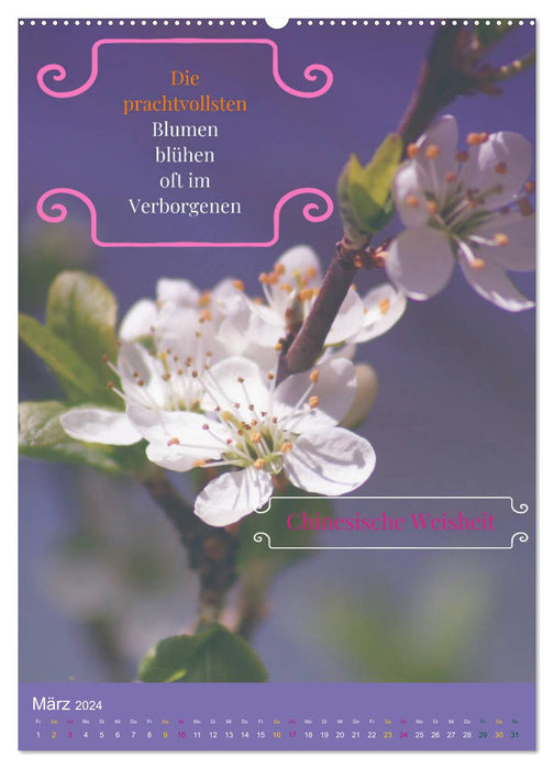 Spring thoughts various wisdom (CALVENDO wall calendar 2024) 