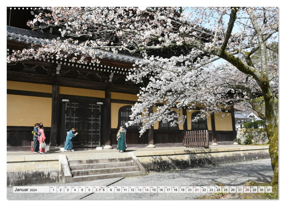 Die Kirschblüte in Japan (CALVENDO Premium Wandkalender 2024)