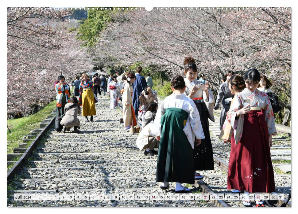 The cherry blossoms in Japan (CALVENDO Premium Wall Calendar 2024) 