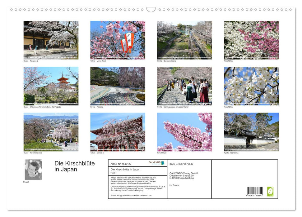 Die Kirschblüte in Japan (CALVENDO Wandkalender 2024)