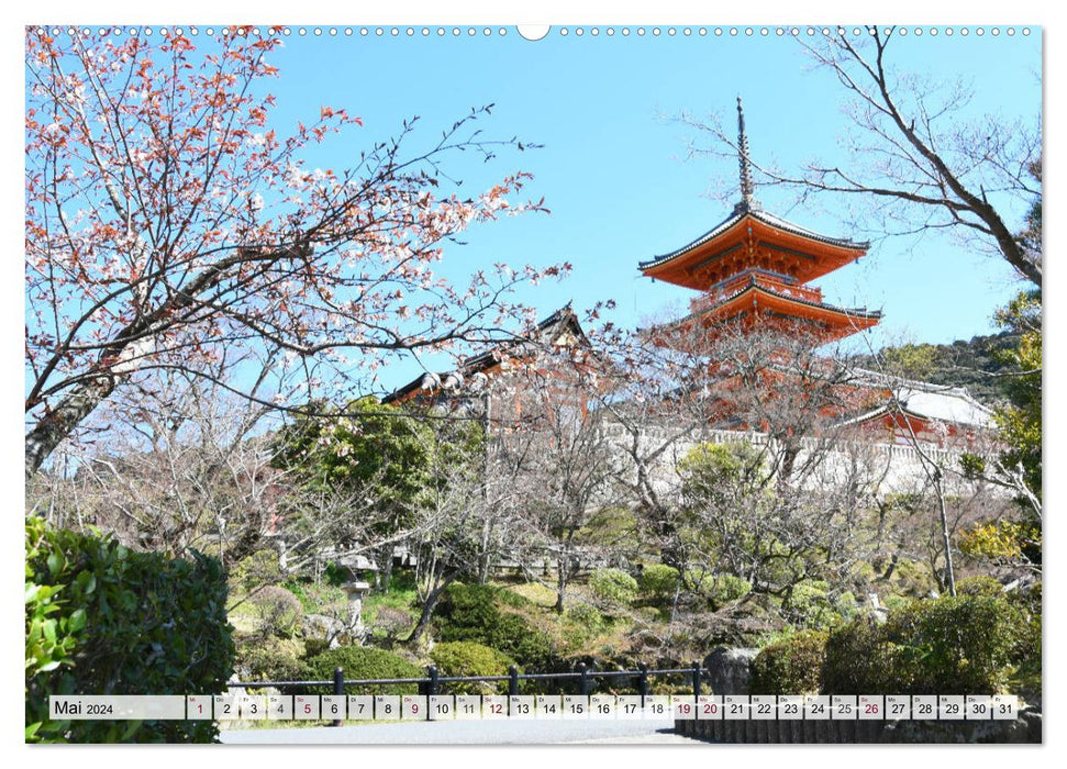 The cherry blossoms in Japan (CALVENDO wall calendar 2024) 
