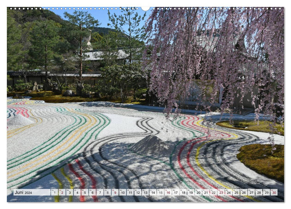 The cherry blossoms in Japan (CALVENDO wall calendar 2024) 