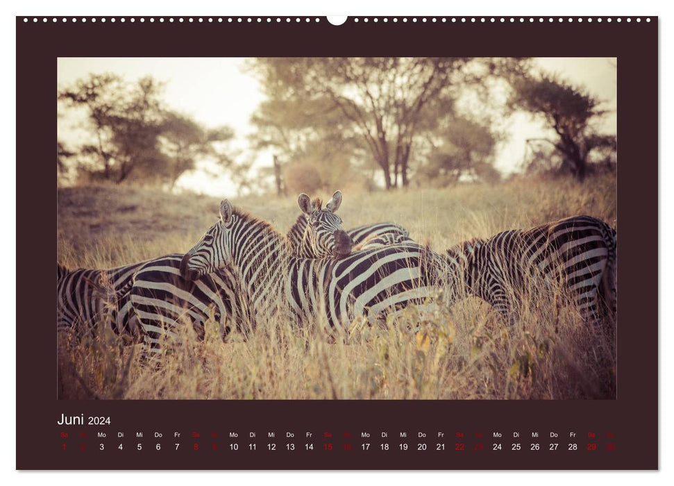 Tansania - Mensch, Tier und Landschaft (CALVENDO Premium Wandkalender 2024)