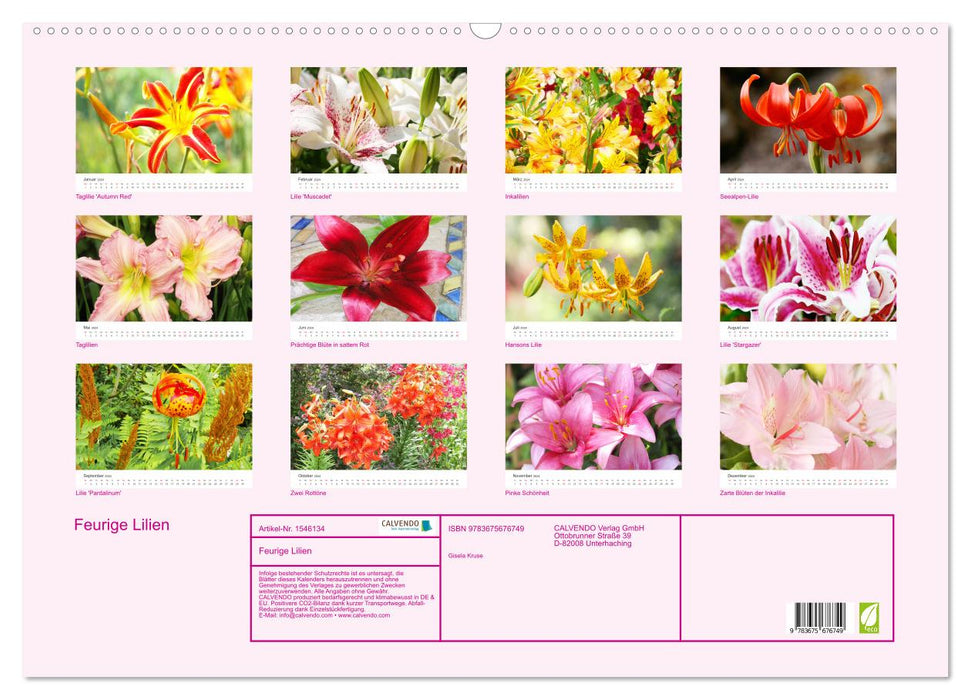 Fiery Lilies (CALVENDO Wall Calendar 2024) 