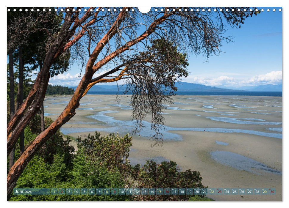 Vancouver Island - Insel zum Träumen (CALVENDO Wandkalender 2024)
