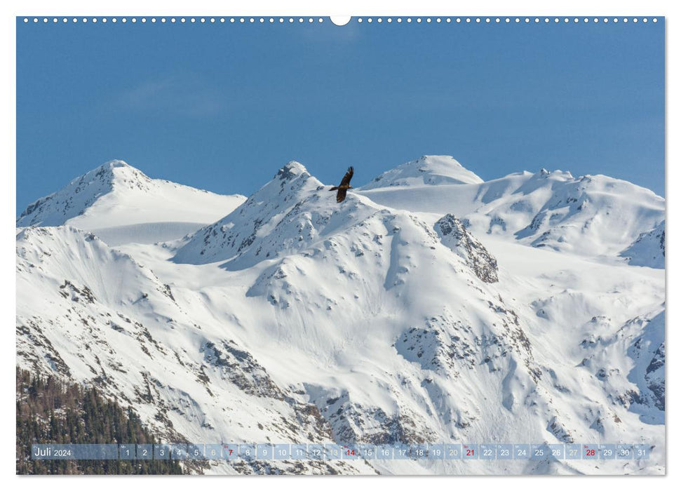 South Tyrol - In the Stelvio National Park (CALVENDO Premium Wall Calendar 2024) 