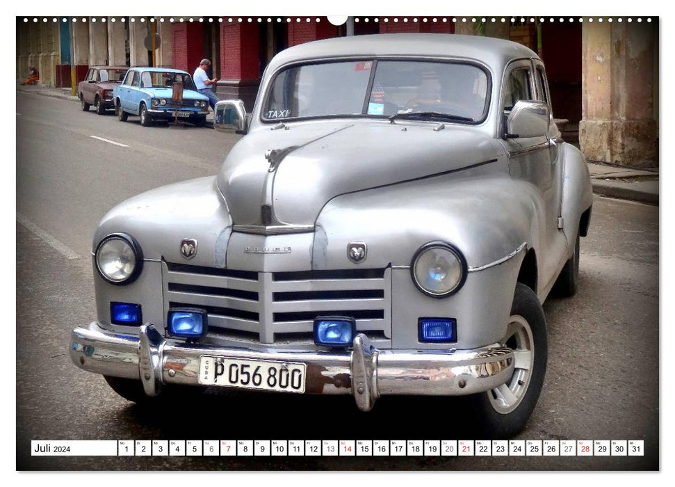 Legendäre Widderköpfe - Oldtimer der Marke Dodge in Kuba (CALVENDO Premium Wandkalender 2024)