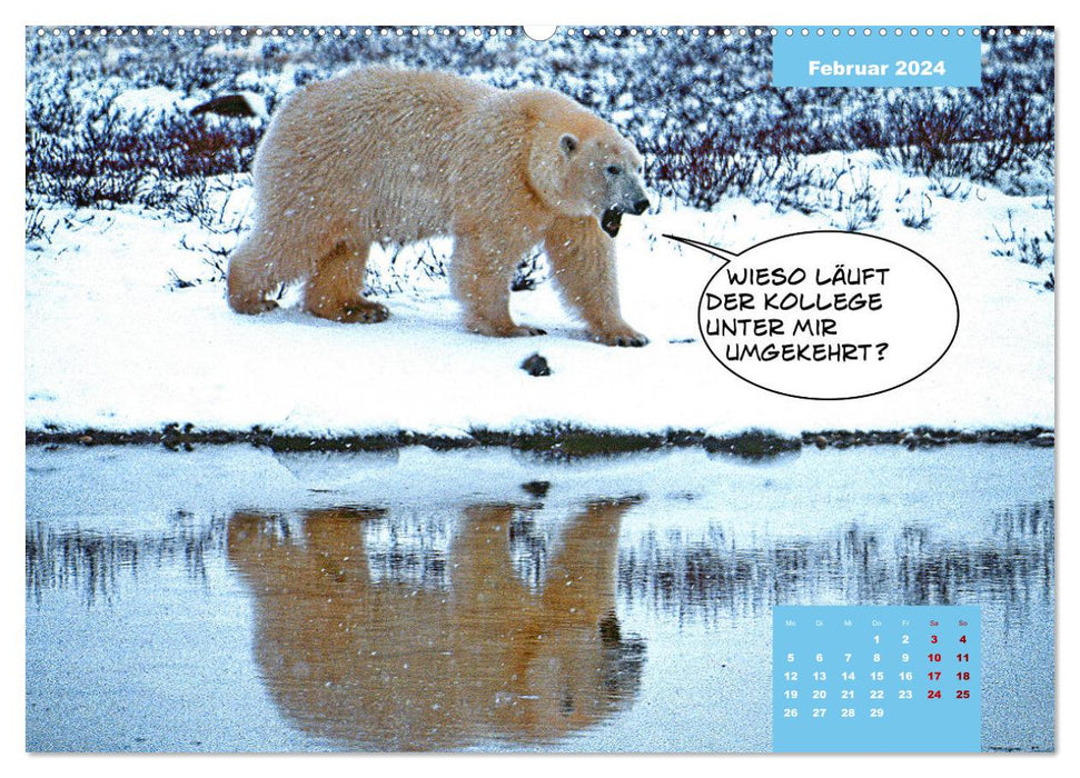 Lustige Eisbären (CALVENDO Wandkalender 2024)