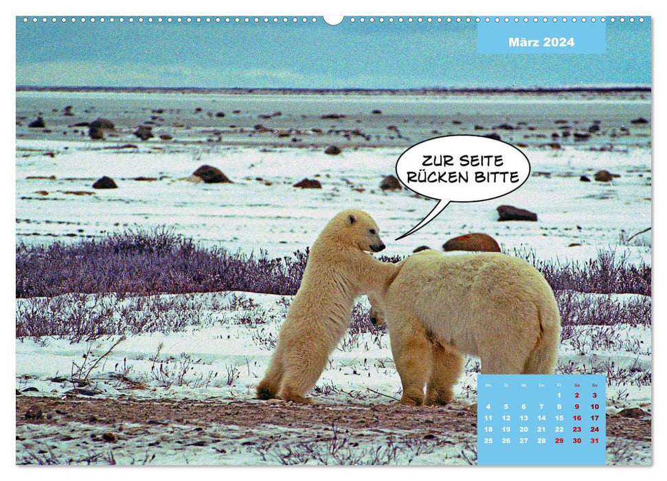 Funny polar bears (CALVENDO wall calendar 2024) 