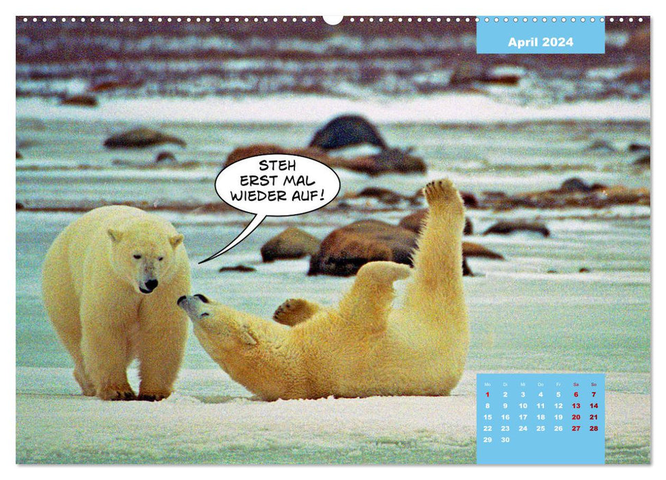 Lustige Eisbären (CALVENDO Wandkalender 2024)
