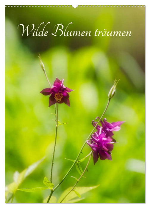 Wild flowers dream (CALVENDO wall calendar 2024) 