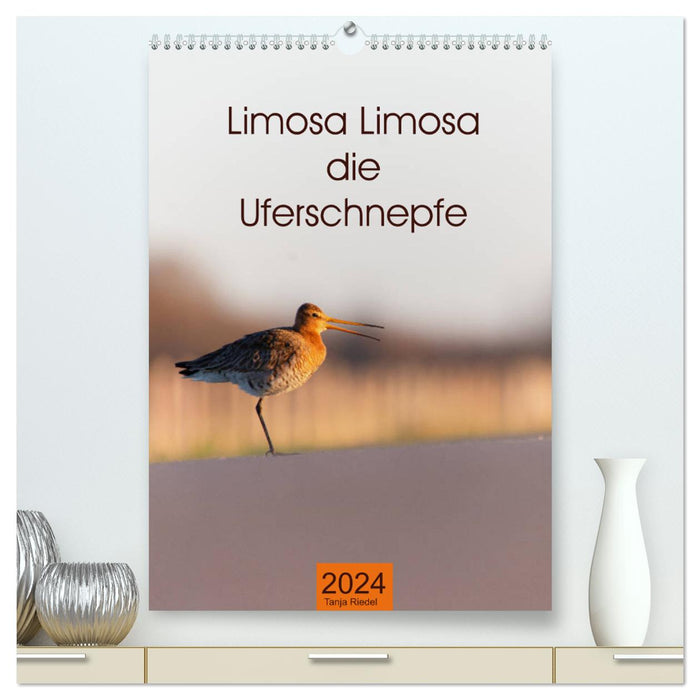 Limosa Limosa die Uferschnepfe (CALVENDO Premium Wandkalender 2024)