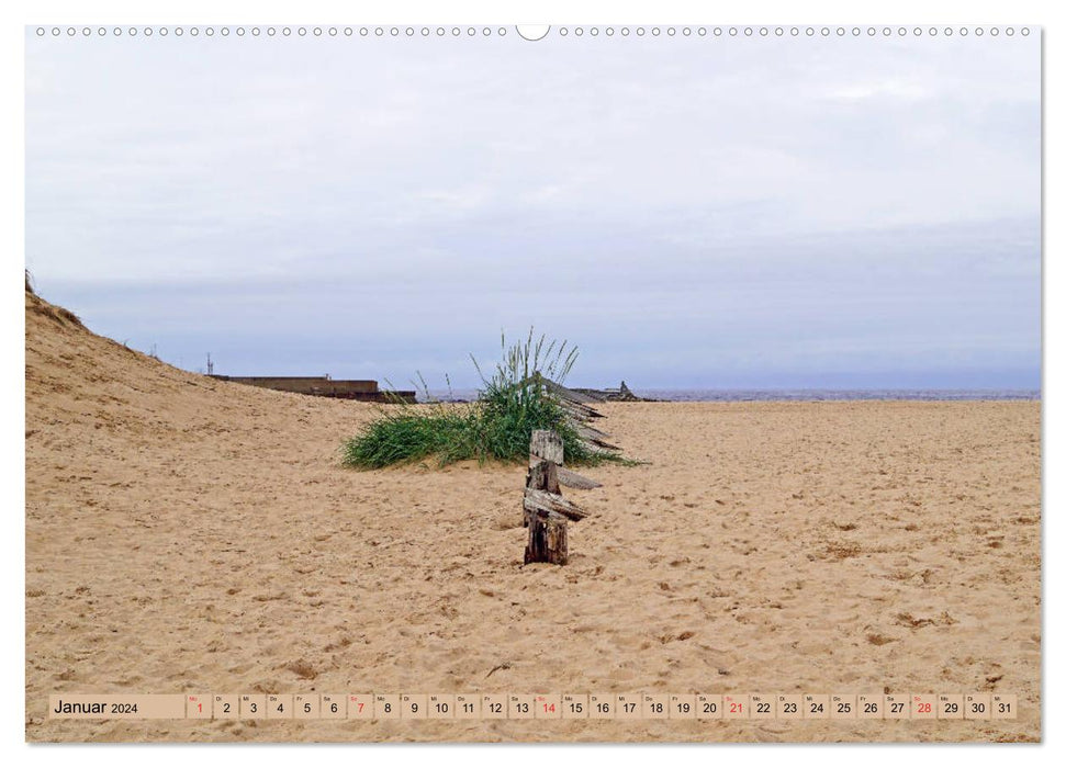 Out and about on the beach (CALVENDO Premium Wall Calendar 2024) 