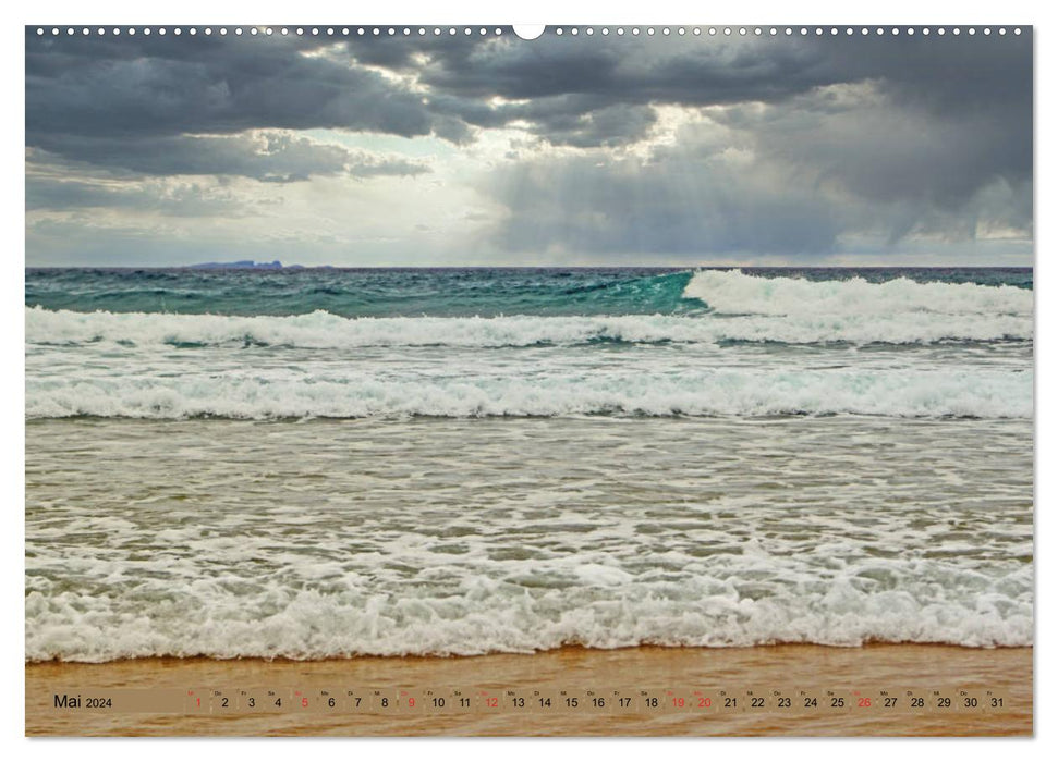 Unterwegs am Strand (CALVENDO Premium Wandkalender 2024)