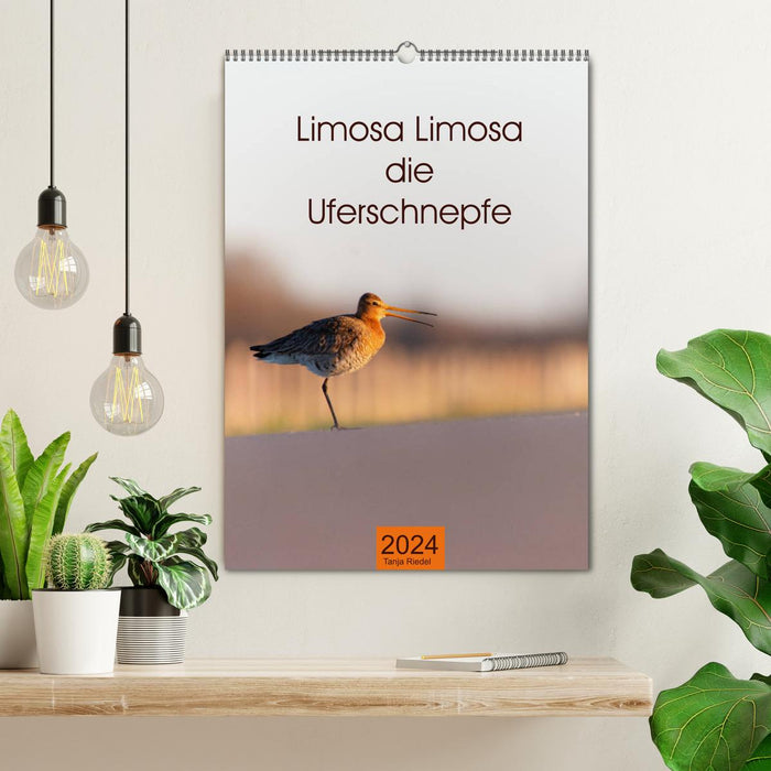 Limosa Limosa die Uferschnepfe (CALVENDO Wandkalender 2024)