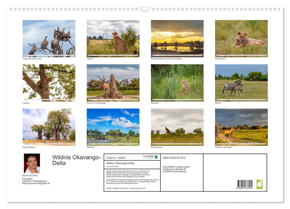 Wilderness Okavango Delta (CALVENDO wall calendar 2024) 