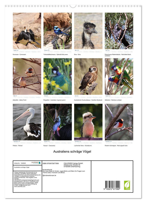 Australia's Weird Birds 2024 (CALVENDO Premium Wall Calendar 2024) 