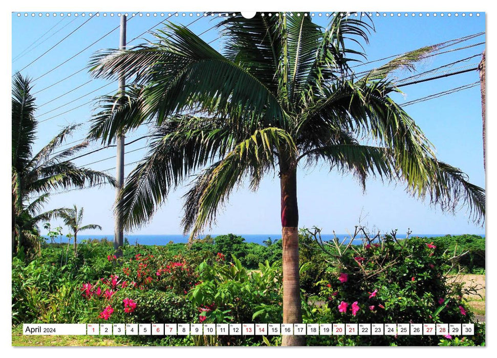 Okinawa - Subtropical island world in the south of Japan (CALVENDO wall calendar 2024) 