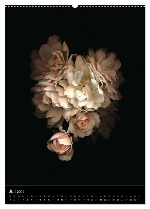 Blumen bei Nacht (CALVENDO Premium Wandkalender 2024)