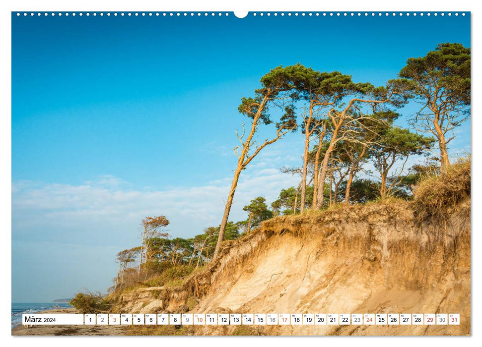 Mein wilder Darß - Landschaften zum Träumen (CALVENDO Premium Wandkalender 2024)