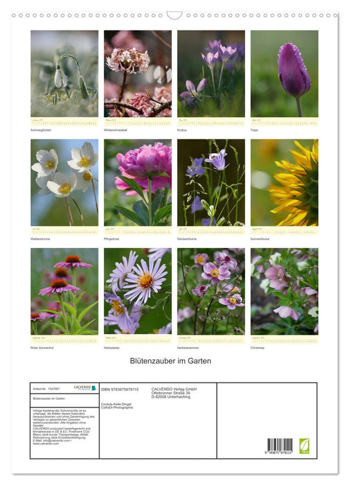 Blütenzauber im Garten (CALVENDO Wandkalender 2024)
