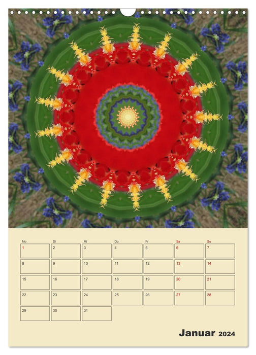 Mandalas - Balsam für die Seele (CALVENDO Wandkalender 2024)