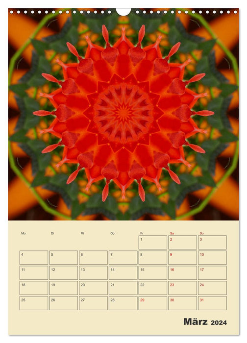 Mandalas - Balsam für die Seele (CALVENDO Wandkalender 2024)