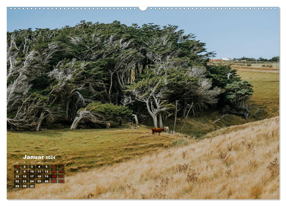 Neuseeland - Land der Superlative (CALVENDO Premium Wandkalender 2024)