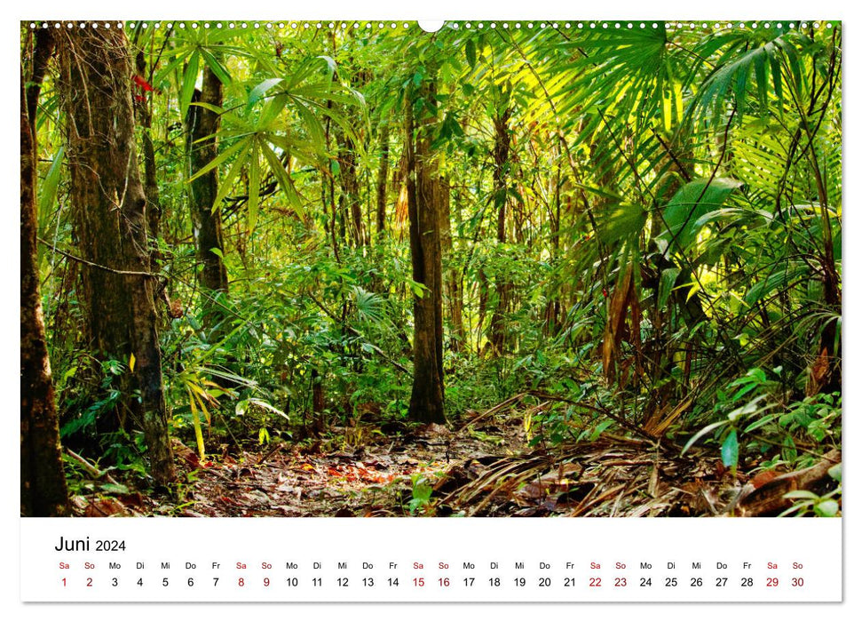 Entlang des Gringo Trail (CALVENDO Premium Wandkalender 2024)