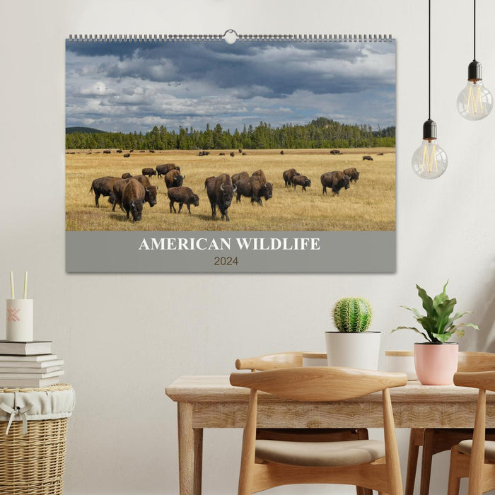 American Wildlife (CALVENDO Wandkalender 2024)