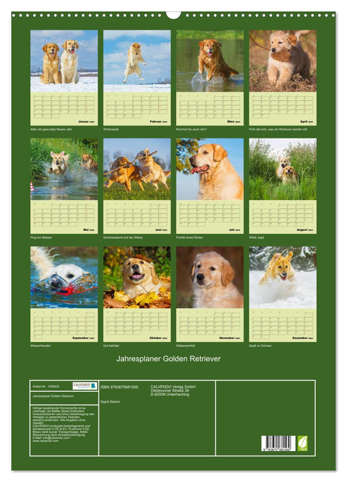 Jahresplaner Golden Retriever (CALVENDO Wandkalender 2024)