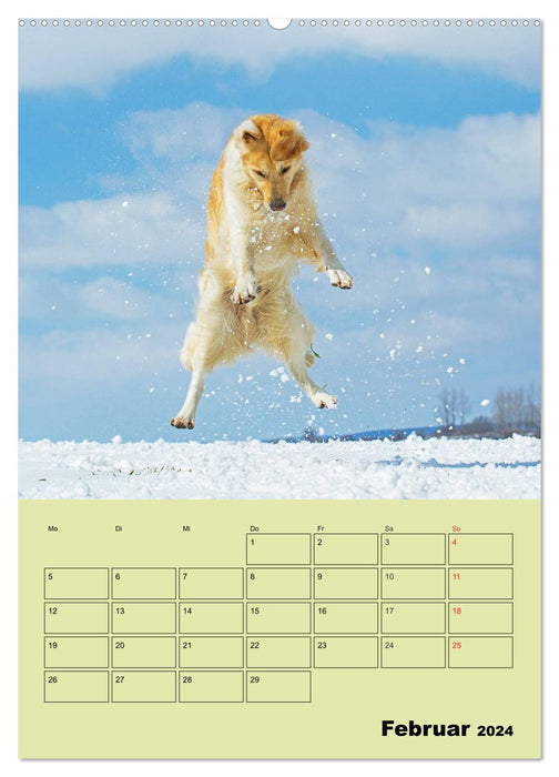 Jahresplaner Golden Retriever (CALVENDO Wandkalender 2024)