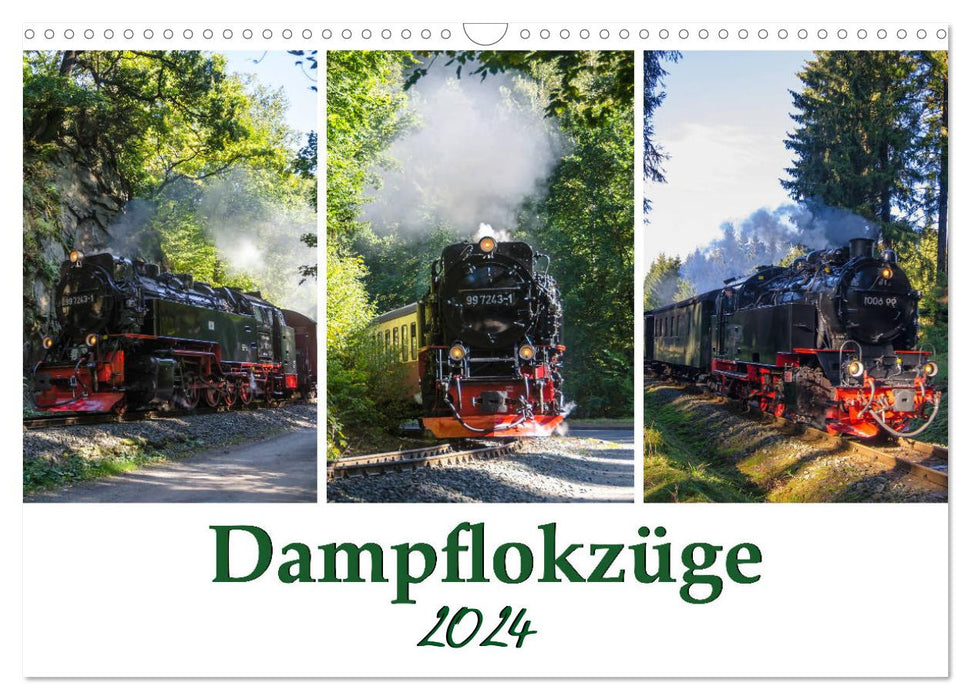 Schmalspurbahnen im Harz (CALVENDO Wandkalender 2024)