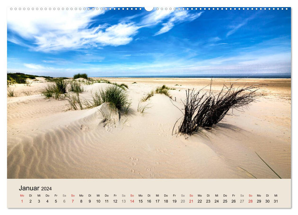 North Sea island of Borkum - island rush in the high seas climate (CALVENDO Premium Wall Calendar 2024) 