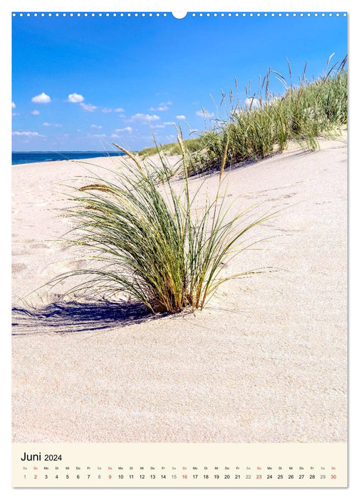 ISLAND SYLT, intoxicating naturalness (CALVENDO Premium Wall Calendar 2024) 