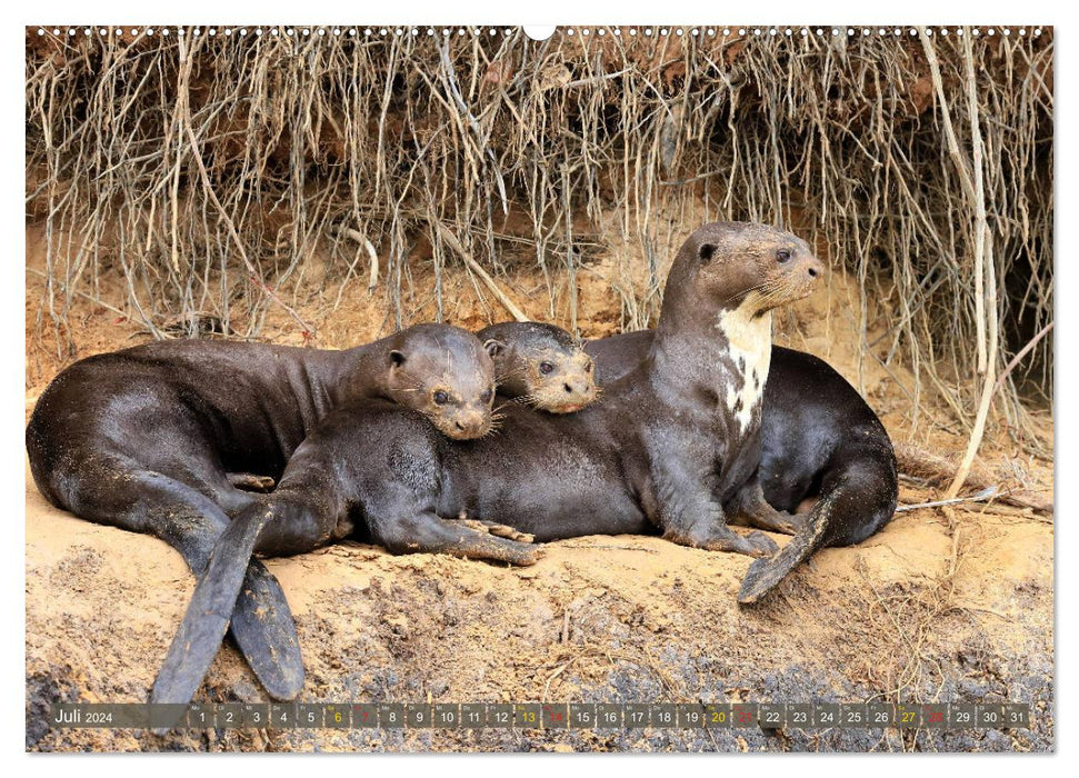 Tierparadies Pantanal (CALVENDO Premium Wandkalender 2024)