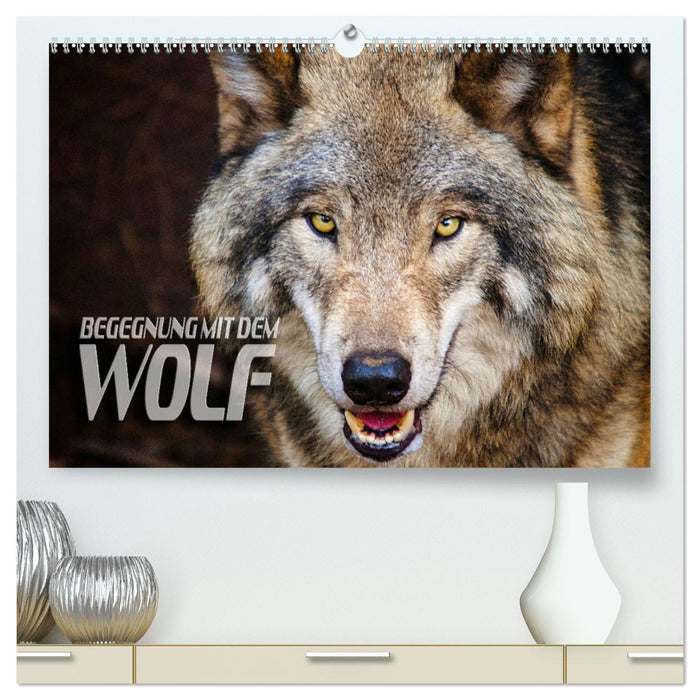 Encounter with the Wolf (CALVENDO Premium Wall Calendar 2024) 