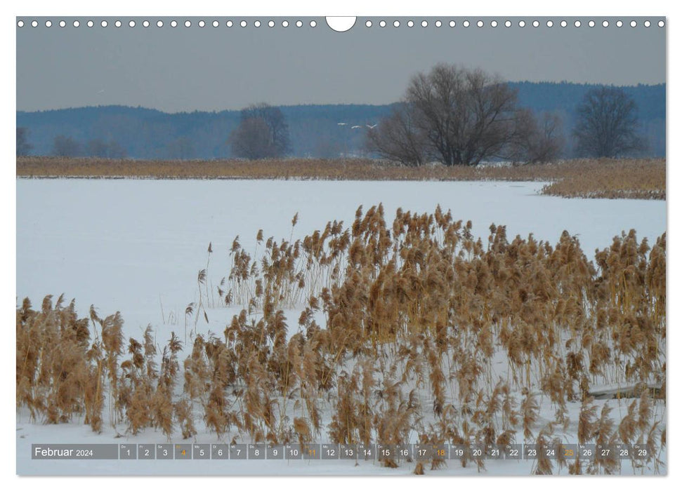 Im Oderbruch (CALVENDO Wandkalender 2024)