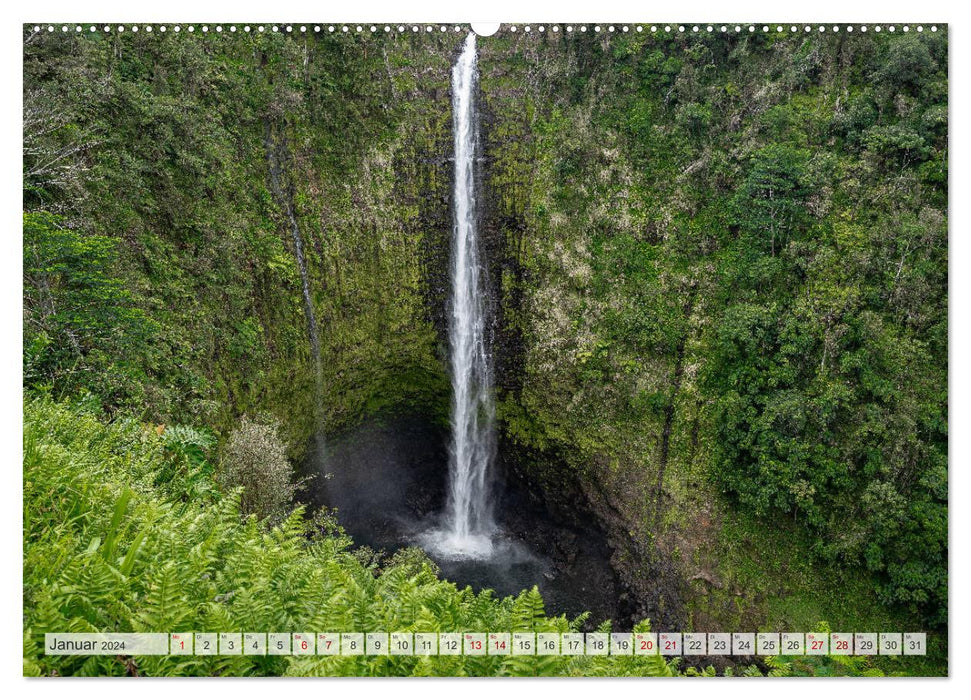 Aloha Hawaii (CALVENDO Wandkalender 2024)