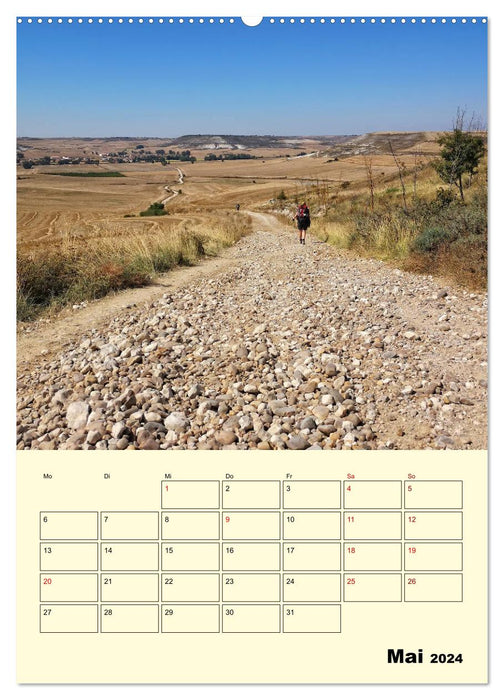 Buen Camino - My Way of St. James - Camino Francés (CALVENDO Premium Wall Calendar 2024) 