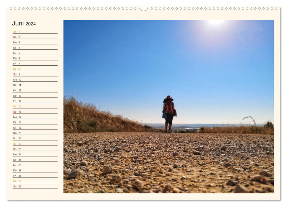 Buen Camino - Pilgerreise auf dem Jakobsweg - Camino Francés (CALVENDO Premium Wandkalender 2024)