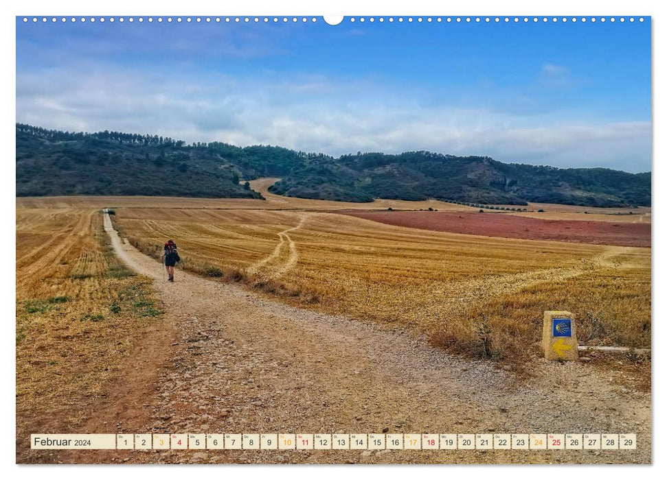 Buen Camino - pilgrimage on the Way of St. James - Camino Francés (CALVENDO Premium Wall Calendar 2024) 