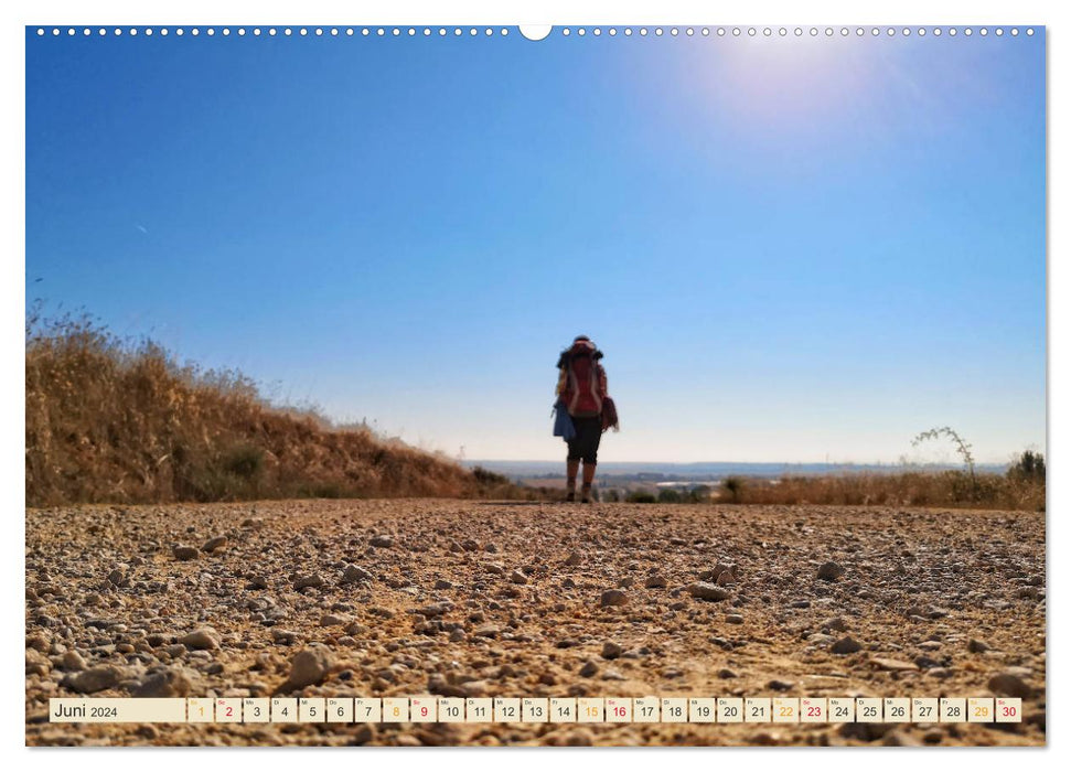 Buen Camino - pilgrimage on the Way of St. James - Camino Francés (CALVENDO Premium Wall Calendar 2024) 