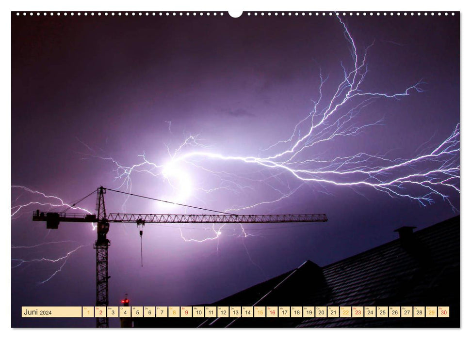 Cranes - extremely strong workhorses (CALVENDO Premium Wall Calendar 2024) 