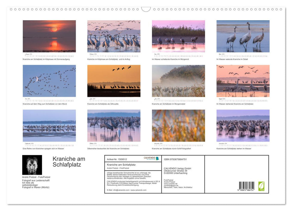 Kraniche am Schlafplatz - im Naturparadies der Mecklenburgischen Seenplatte (CALVENDO Wandkalender 2024)