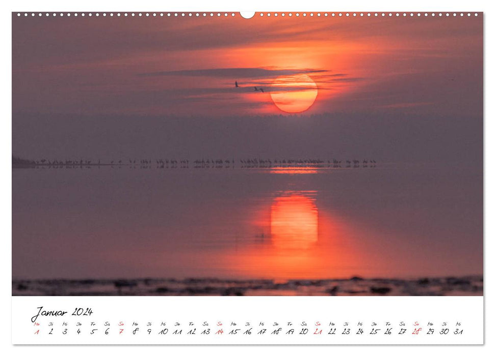 Kraniche am Schlafplatz - im Naturparadies der Mecklenburgischen Seenplatte (CALVENDO Wandkalender 2024)