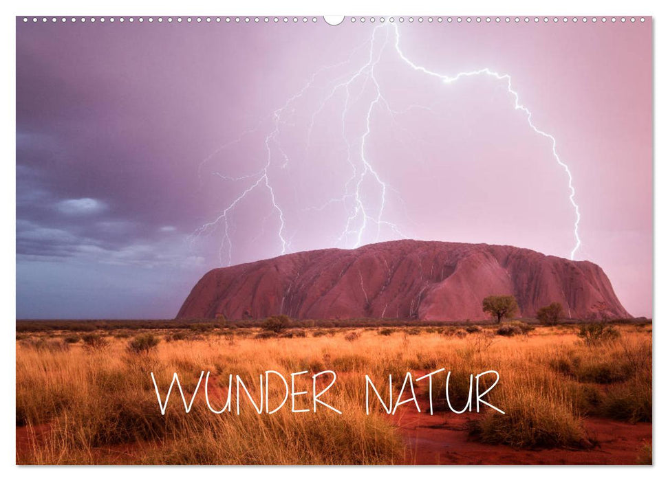 Wunder Natur II (CALVENDO Wandkalender 2024)